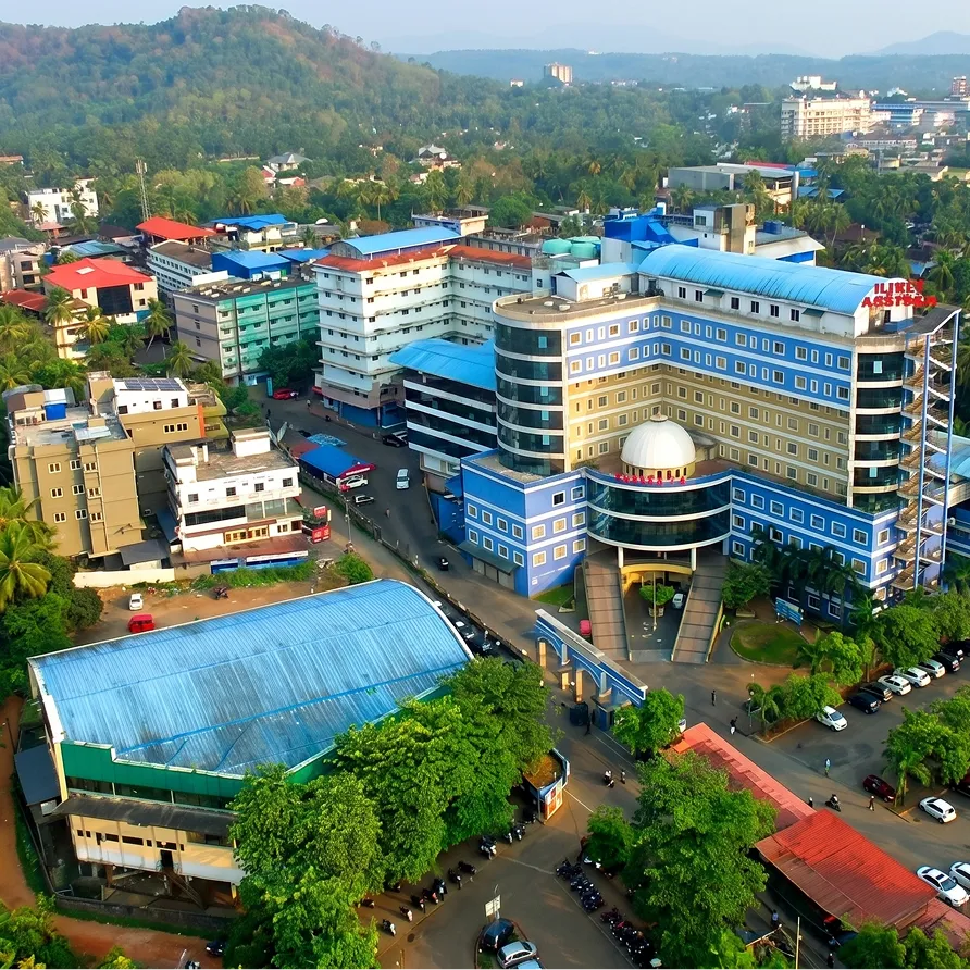 Medical & Education